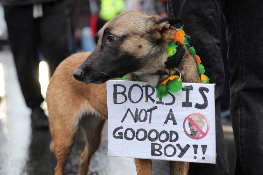 Ein Hundebesitzer hängt am 19. Februar 2022 in London ein Transparent gegen den britischen Premierminister Boris Johnson auf.