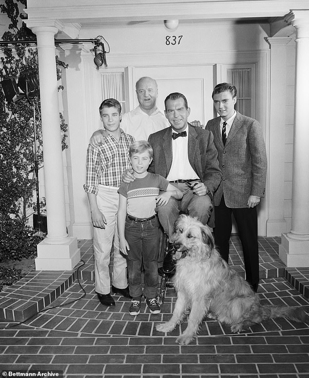 Ausbruch: Nach dem Erfolg mit Disney in den 1950er Jahren spielte Considine von 196 bis 1965 in My Three Sons mit, obwohl die Show bis 1972 lief;  Rechts abgebildet mit Don Grady, Stanley Livingston, William Frawley und Fred McMurray