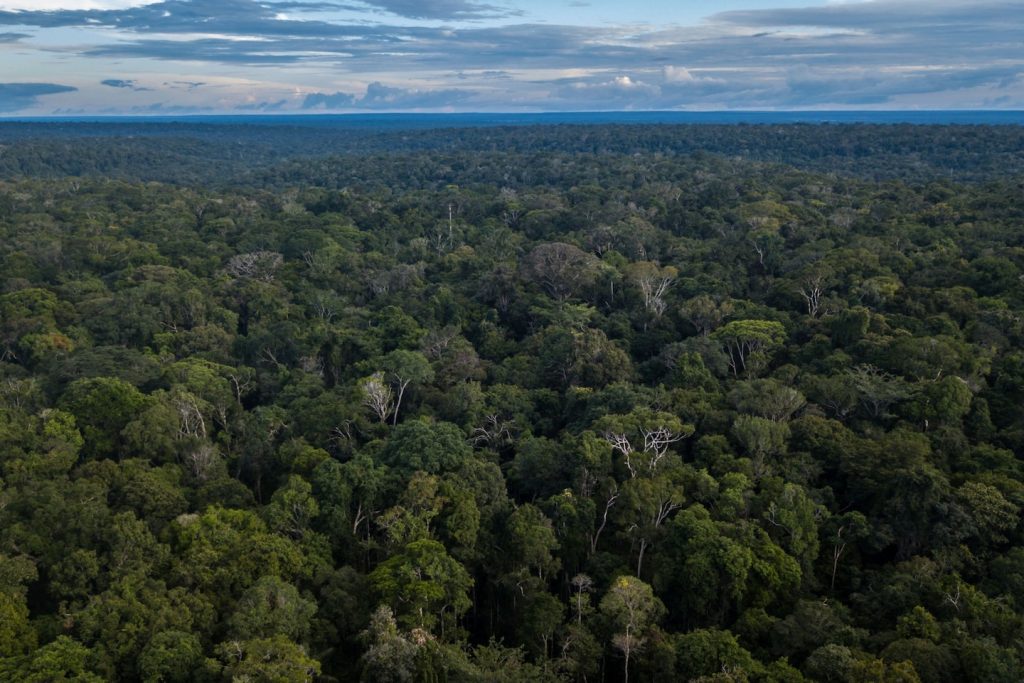 Satelliten zeigen, dass der Amazonas-Regenwald auf den „Wendepunkt“ zusteuert