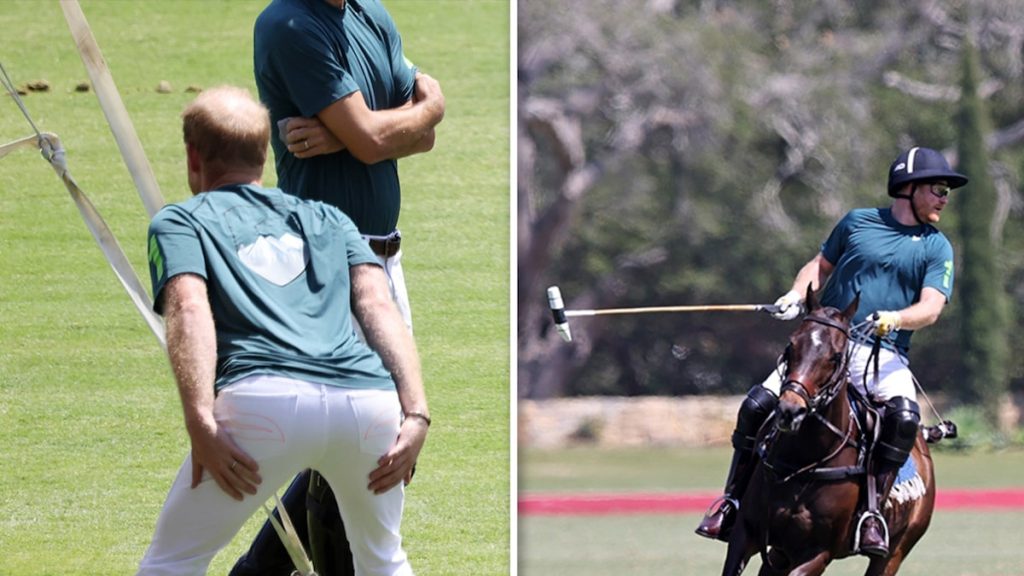 Prinz Harry beginnt Polo zu spielen, während Meghan zuschaut