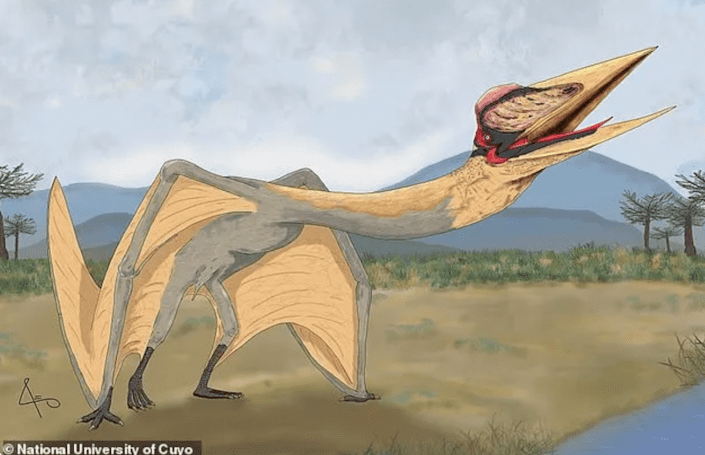 Paläontologen in Argentinien haben Fossilien einer neuen Flugsaurierart namens „Pterosaurus“ entdeckt.  Todesdrache "