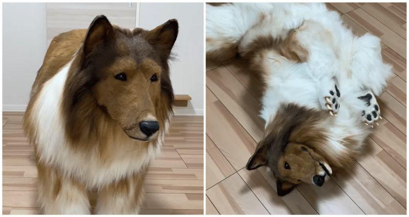 Ein Japaner gibt 15.700 Dollar für ein Hundekostüm aus, um sich seinen Lebenstraum zu erfüllen, sich in ein Tier zu verwandeln