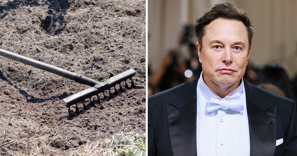 Elon Musk bietet an, den Rechen, auf den er geklettert ist, zu kaufen