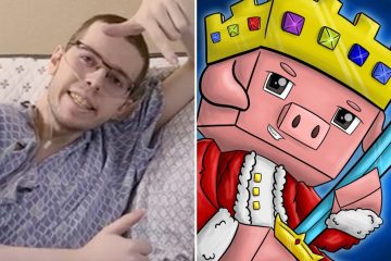 Minecraft YouTuber verschwindet ein Jahr nach der Diagnose Krebs