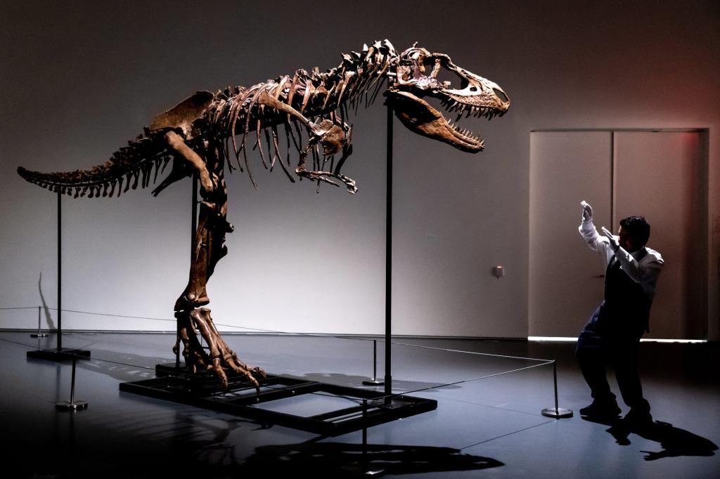 Skelett eines 76 Millionen Jahre alten Gorgosaurus wird versteigert