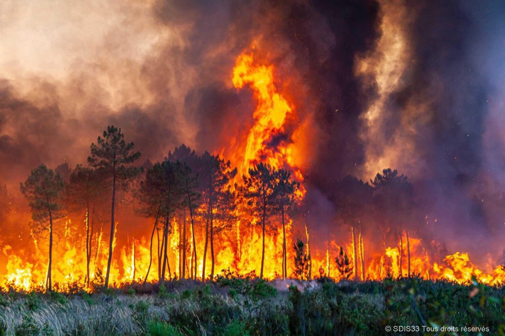 Europa brennt in einer Hitzewelle, die Brände in Frankreich und Spanien schürt