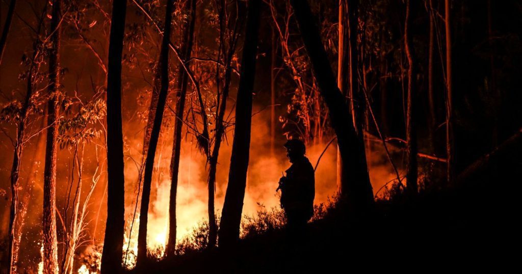 Portugal entsendet 3.000 Feuerwehrleute zur Bekämpfung von Hitzewellenbränden |  Nachrichten zur Klimakrise