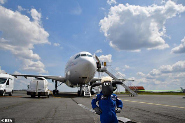 Shaun das Schaf hat auch einen Flug an Bord eines Airbus Zero G 'A310 unternommen, während eines seiner gleichwertigen Flüge, der für diejenigen mit Erfahrung im Weltraum 