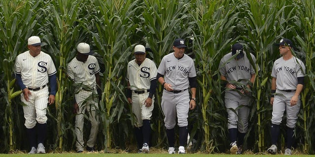 Spieler der Chicago White Sox und der New York Yankees gehen durch Maisreihen, während sie sich vor dem Spiel am 12. August 2021 im Field of Dreams in Dyersville, Iowa, präsentieren.