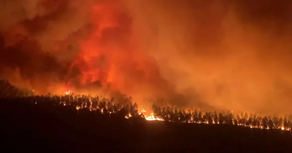 In Frankreich brachen Waldbrände aus und Tausende wurden aus ihren Häusern evakuiert