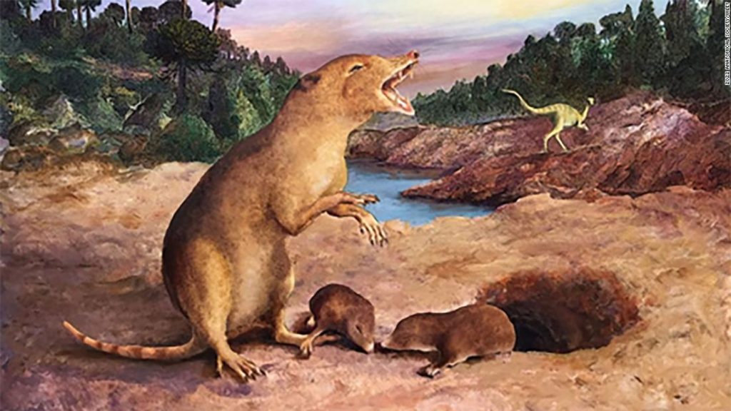 Ein 225 Millionen Jahre altes Säugetier ist das älteste aller Zeiten